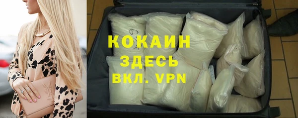 крисы Баксан