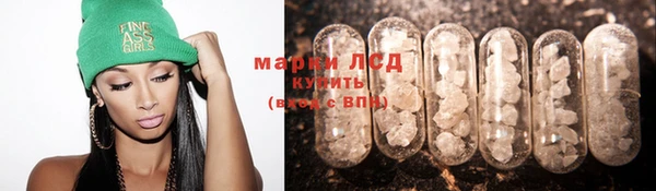 ПСИЛОЦИБИНОВЫЕ ГРИБЫ Аркадак