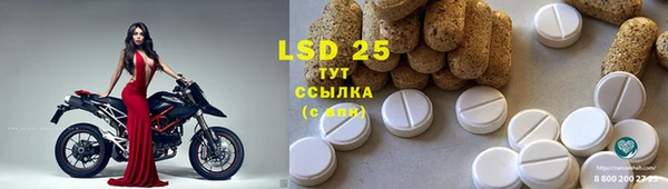 крисы Баксан