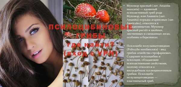 стаф Балабаново