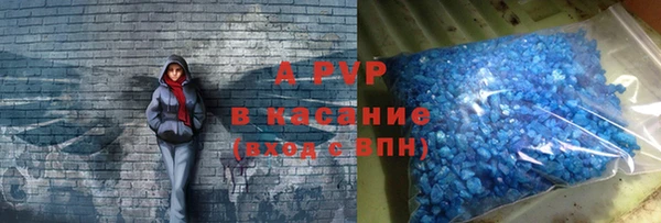 крисы Баксан
