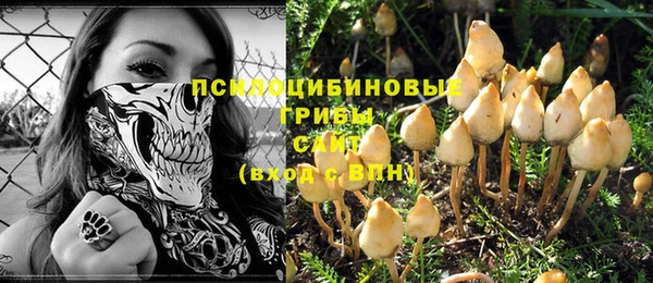 синтетический гашиш Арсеньев
