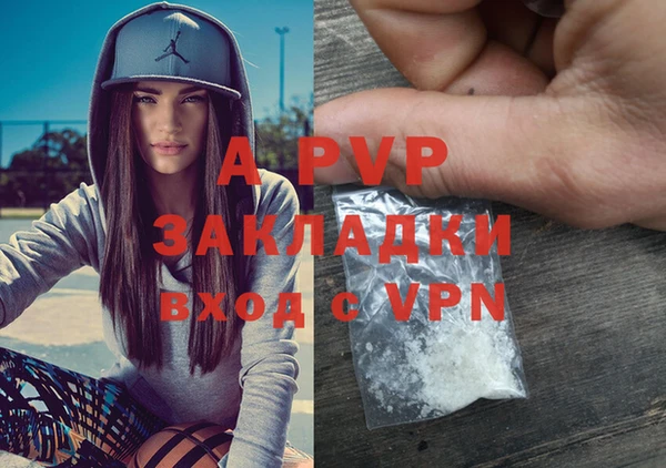 крисы Баксан